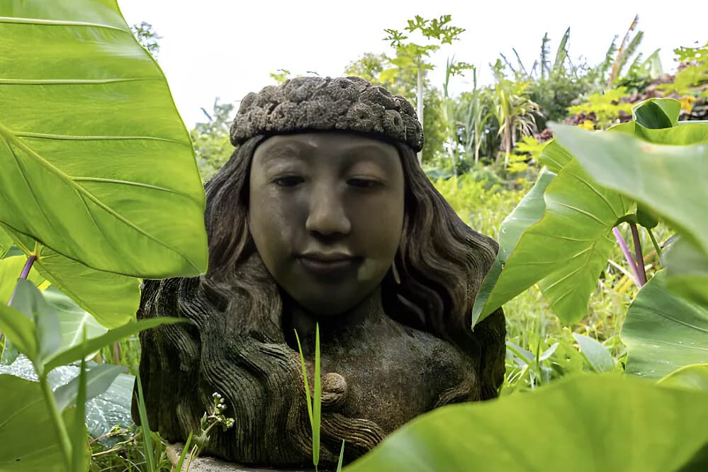Jógový pobyt s ájurvédou na 7 dní · Maui, USA