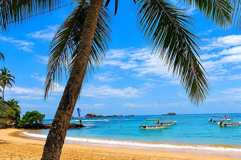 Jógový pobyt na 4 dny · Hikkaduwa, Srí Lanka