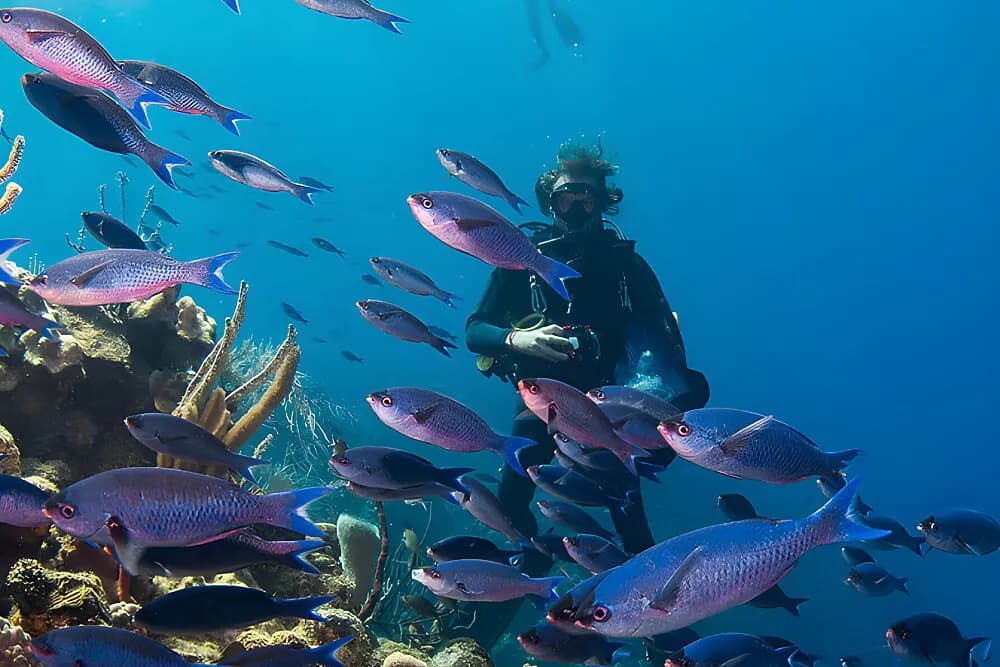Jógový pobyt na 7 dní · Roatán, Honduras