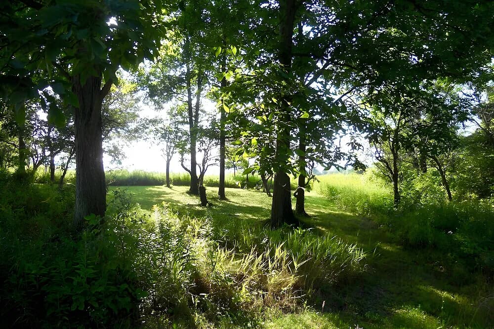 Meditační pobyt na 8 dní · Springwater, USA