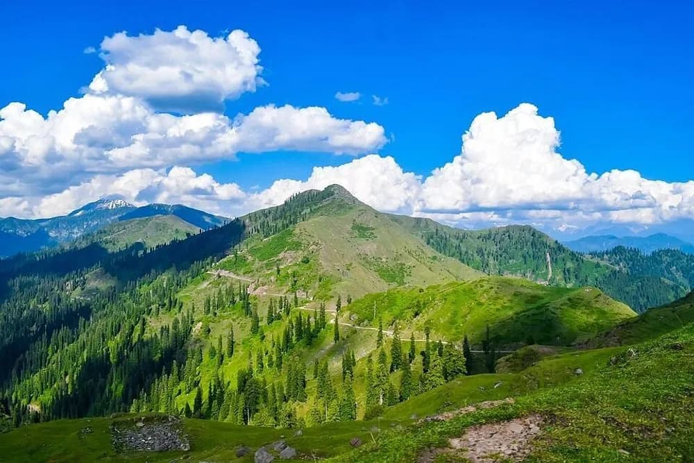Wellness pobyt s dechovými technikami na 9 dní · Binsar, Indie