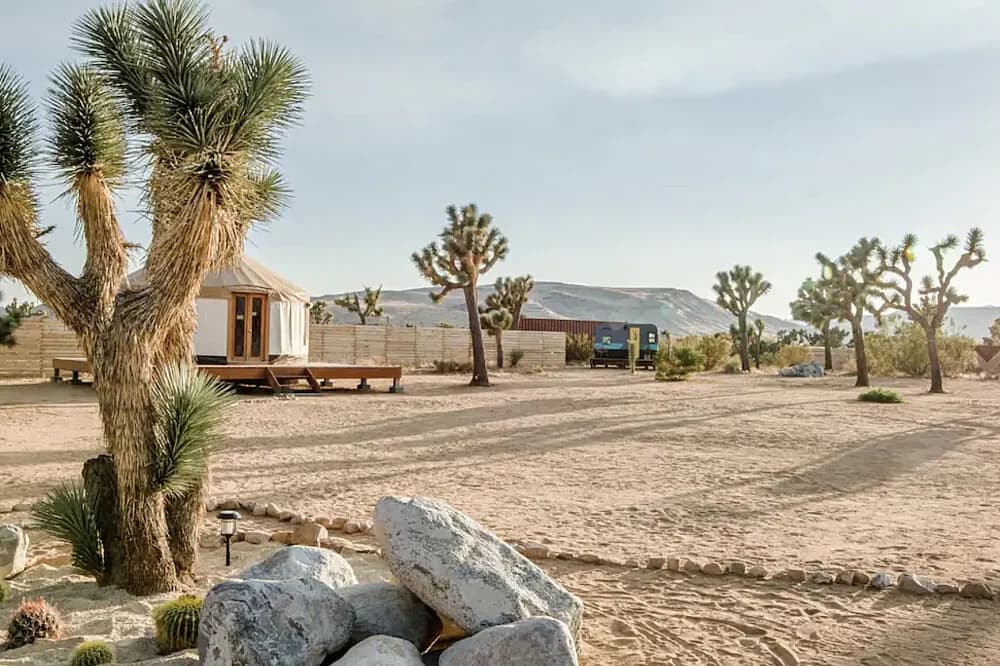 Kurz učitelů jógy na 15 dní · Joshua Tree, USA