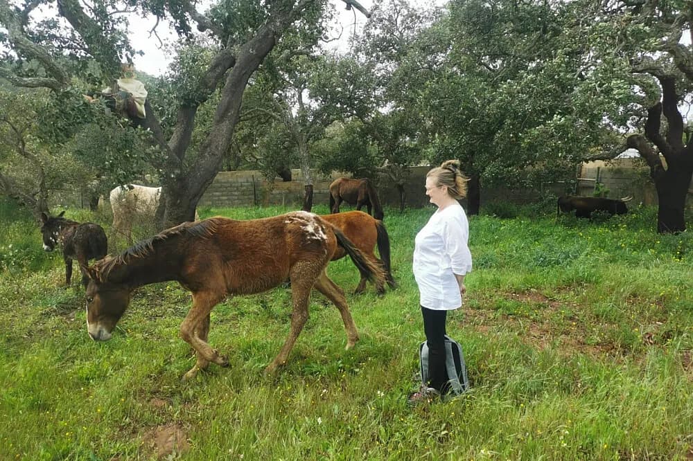 Wellness pobyt na 28 dní · Faro, Portugalsko