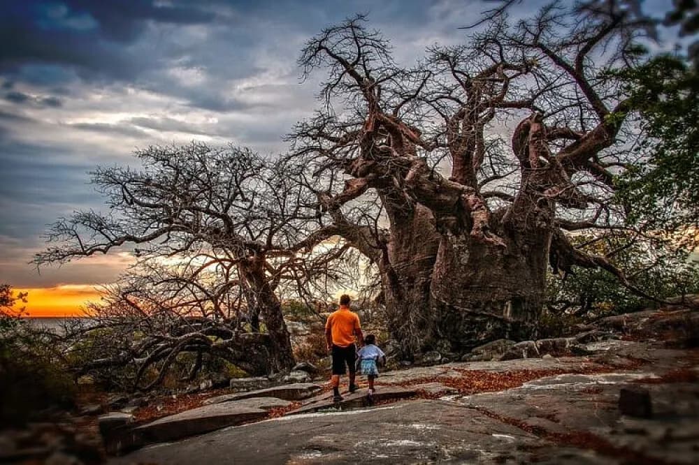 Wellness pobyt na 7 dní · Musina, Jihoafrická republika