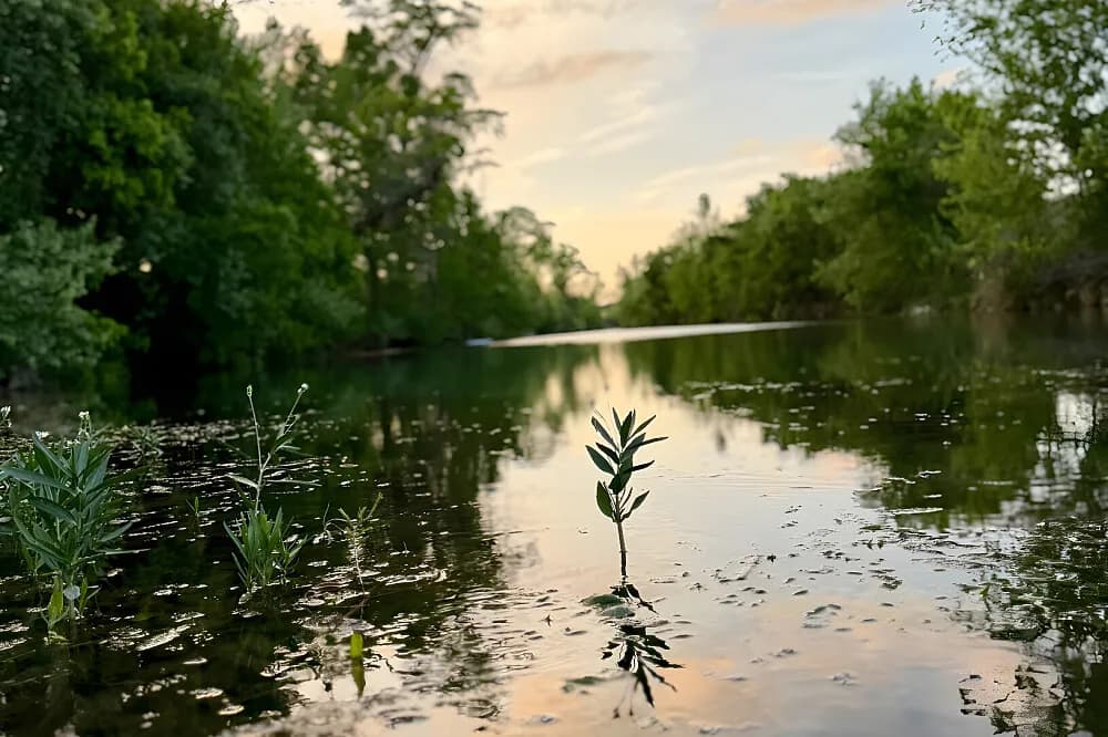 Meditační pobyt v tichu na 4 dny · Wimberley, USA