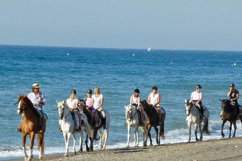 Jógový pobyt s koňmi na 8 dní · Alhaurín de la Torre, Španělsko