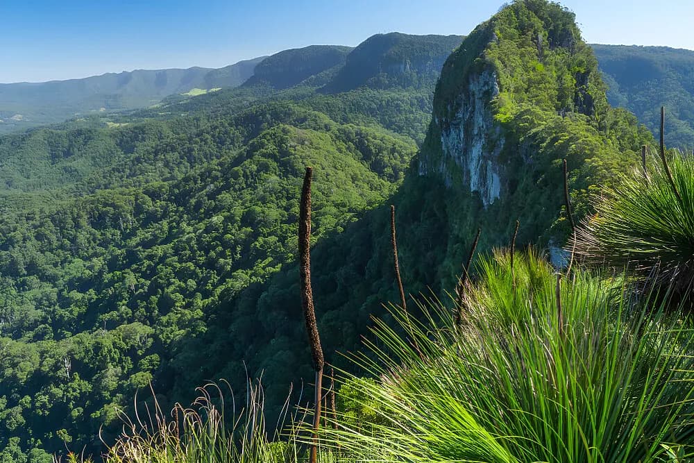Wellness pobyt na 6 dní · Tallebudgera, Austrálie