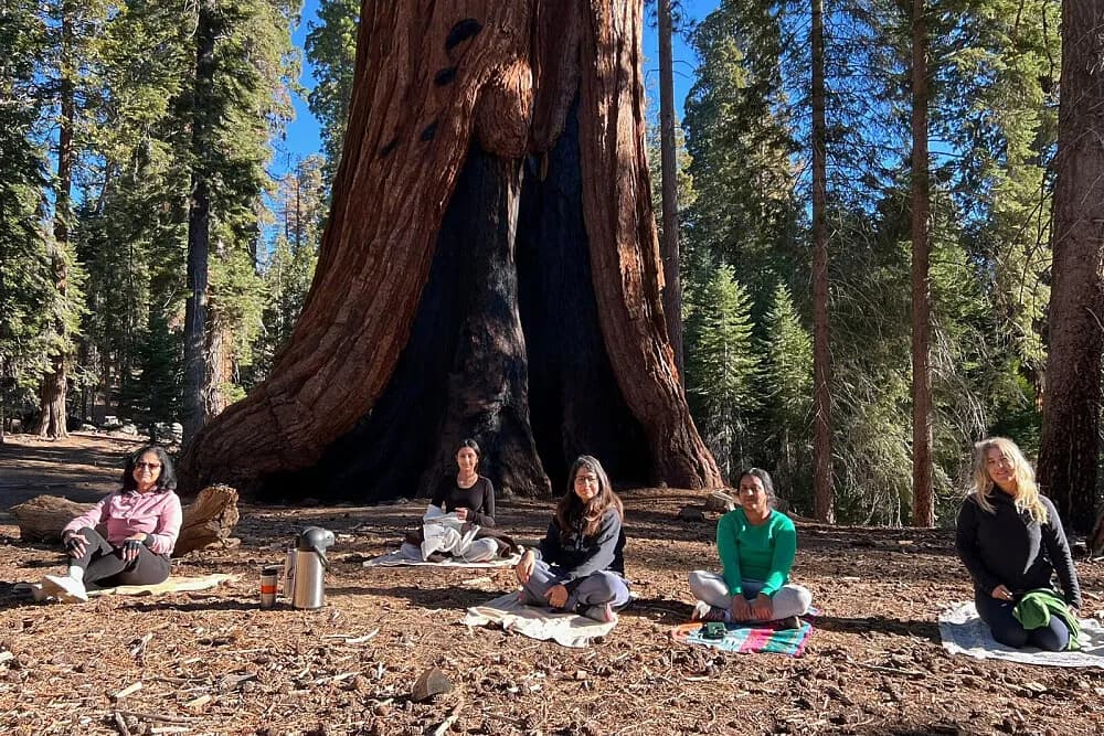 Wellness pobyt s detoxem na 4 dny · California Hot Springs, USA