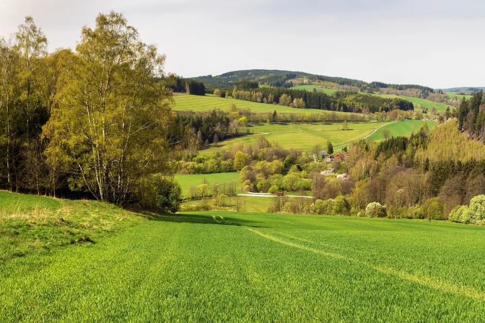 Ilustrační foto: Českomoravská vrchovina