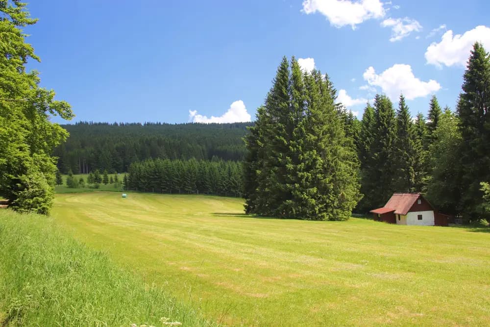 Ilustrační foto: Kubova Huť, Šumava
